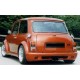 Mini Cooper Zeemax style Body Kit