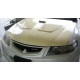 Honda Accord Euro-R 2006 M-S Front Bonnet