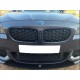 BMW 5 Series F10 Star Front Grille