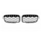 BMW 3 Series F30 Star style Front Grille